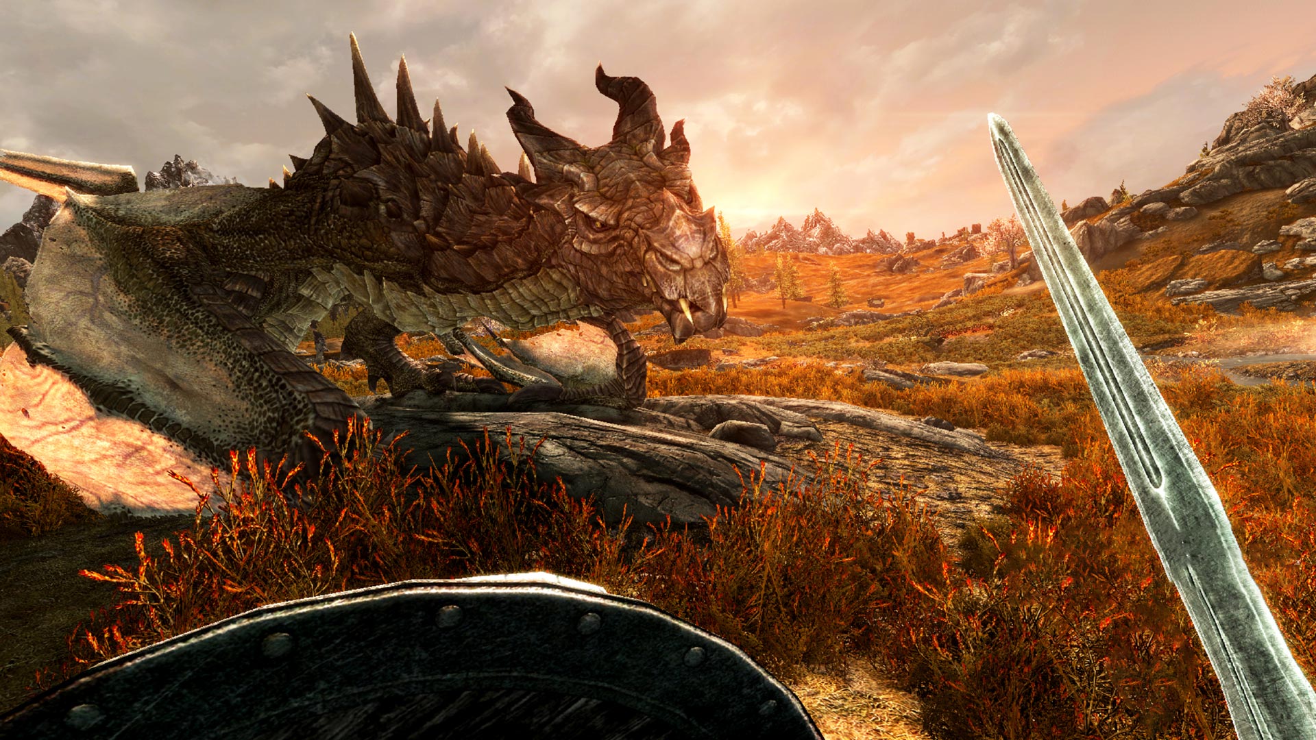 Skyrim VR
