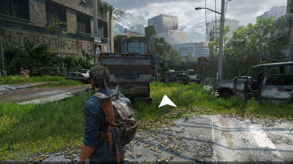 The Last of Us